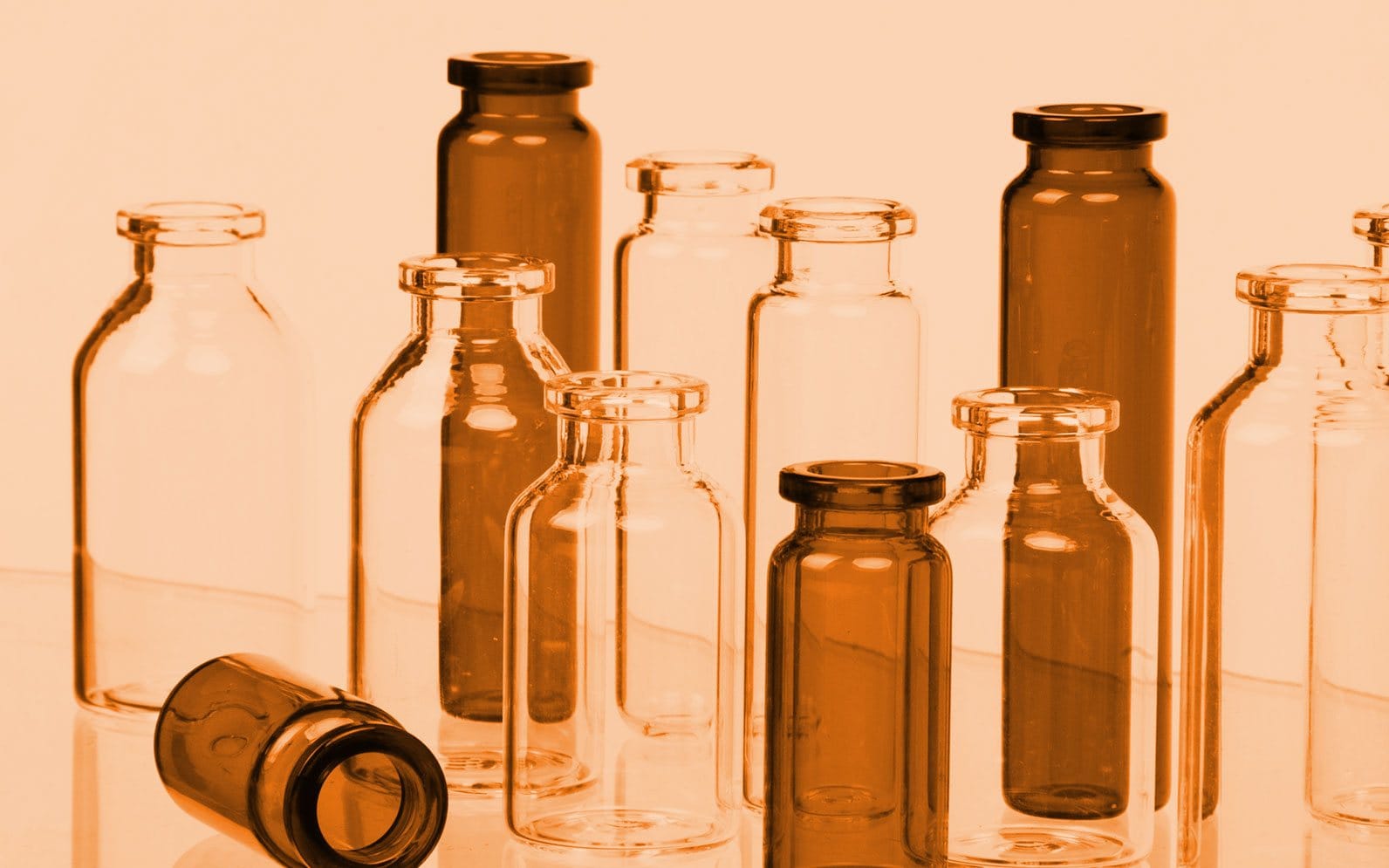 TWD Introduces New Disposable Glassware