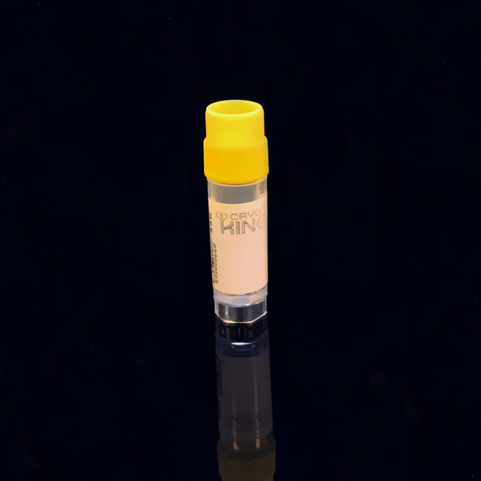 BX88-9204